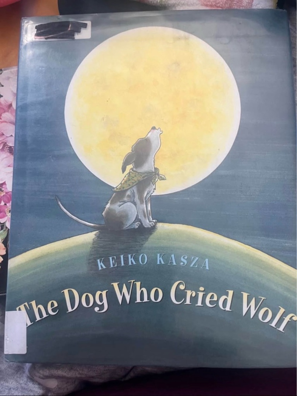 The Dog Who Cried Wolf by Keiko Kasza Kids Book